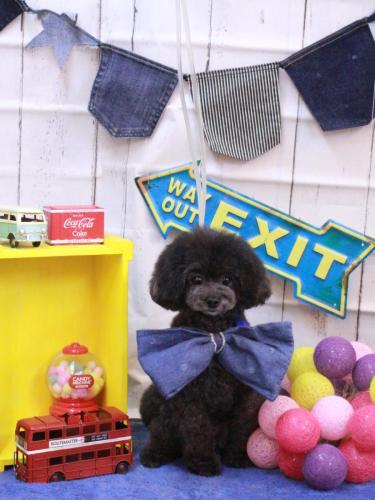 20230429NEROちゃん